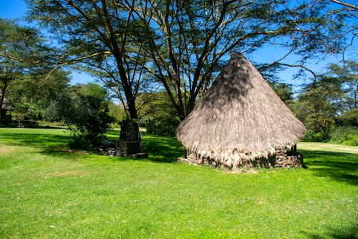 A thatched roof hut is situated in a lush green area surrounded by tall trees. The grass is vibrant and well-maintained, indicating a peaceful, natural setting. Sunlight filters through the branches, creating a pattern of light and shadow on the ground.