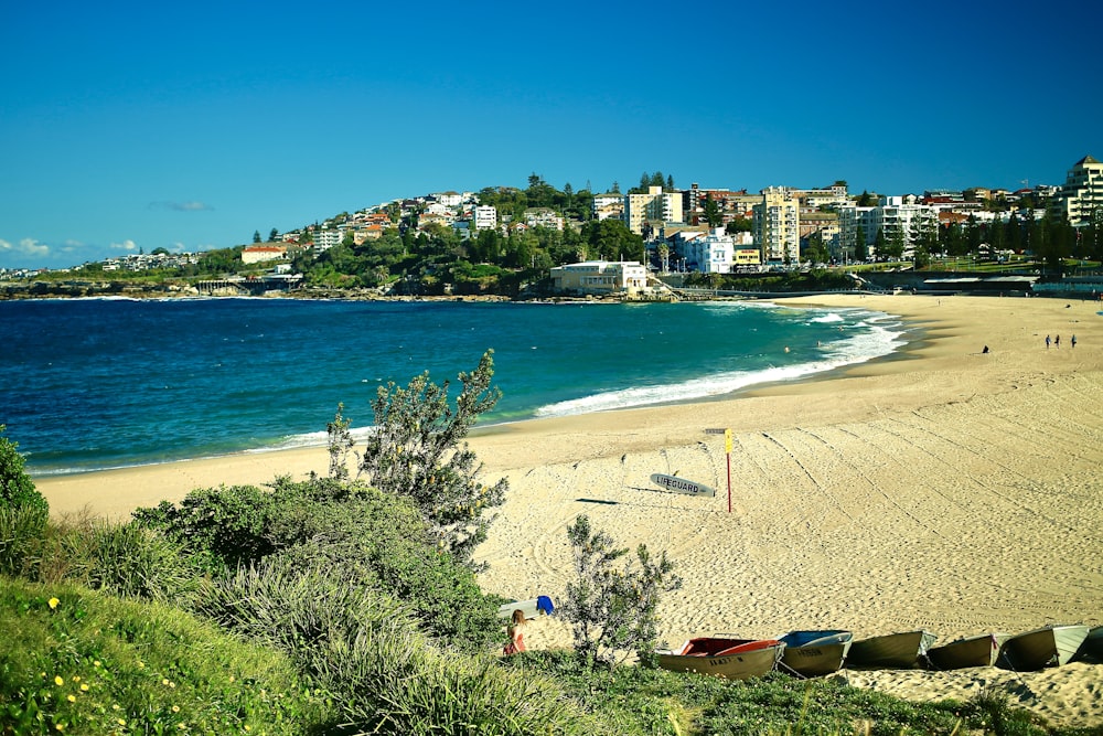 people on beach during daytime