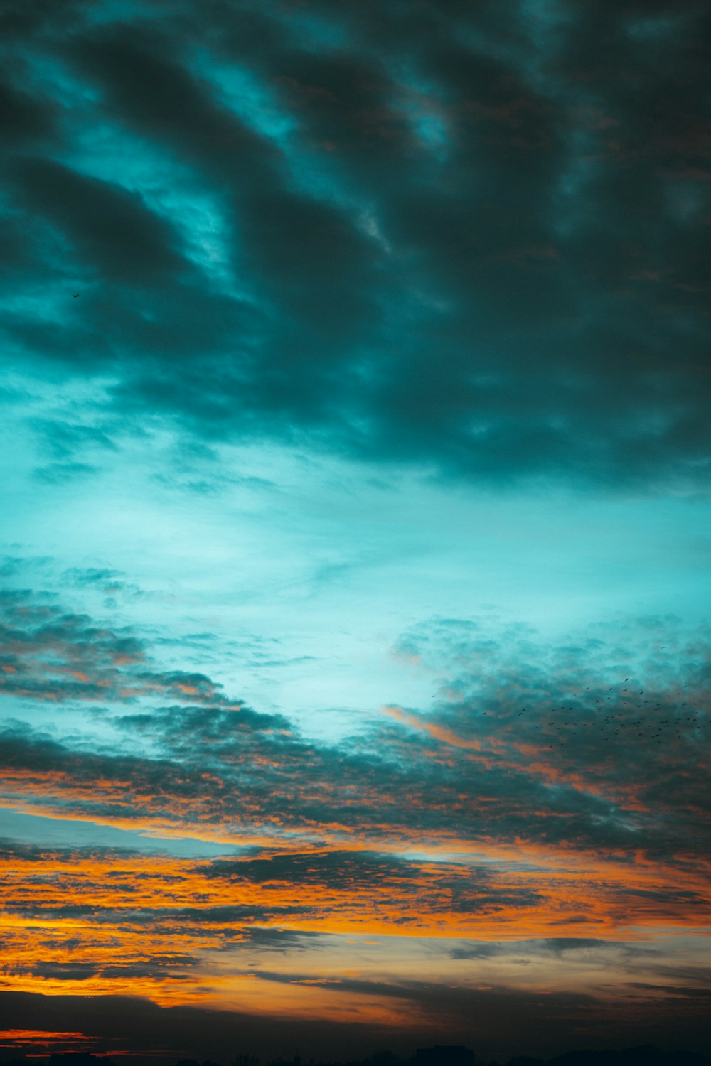 blue and white clouds during daytime