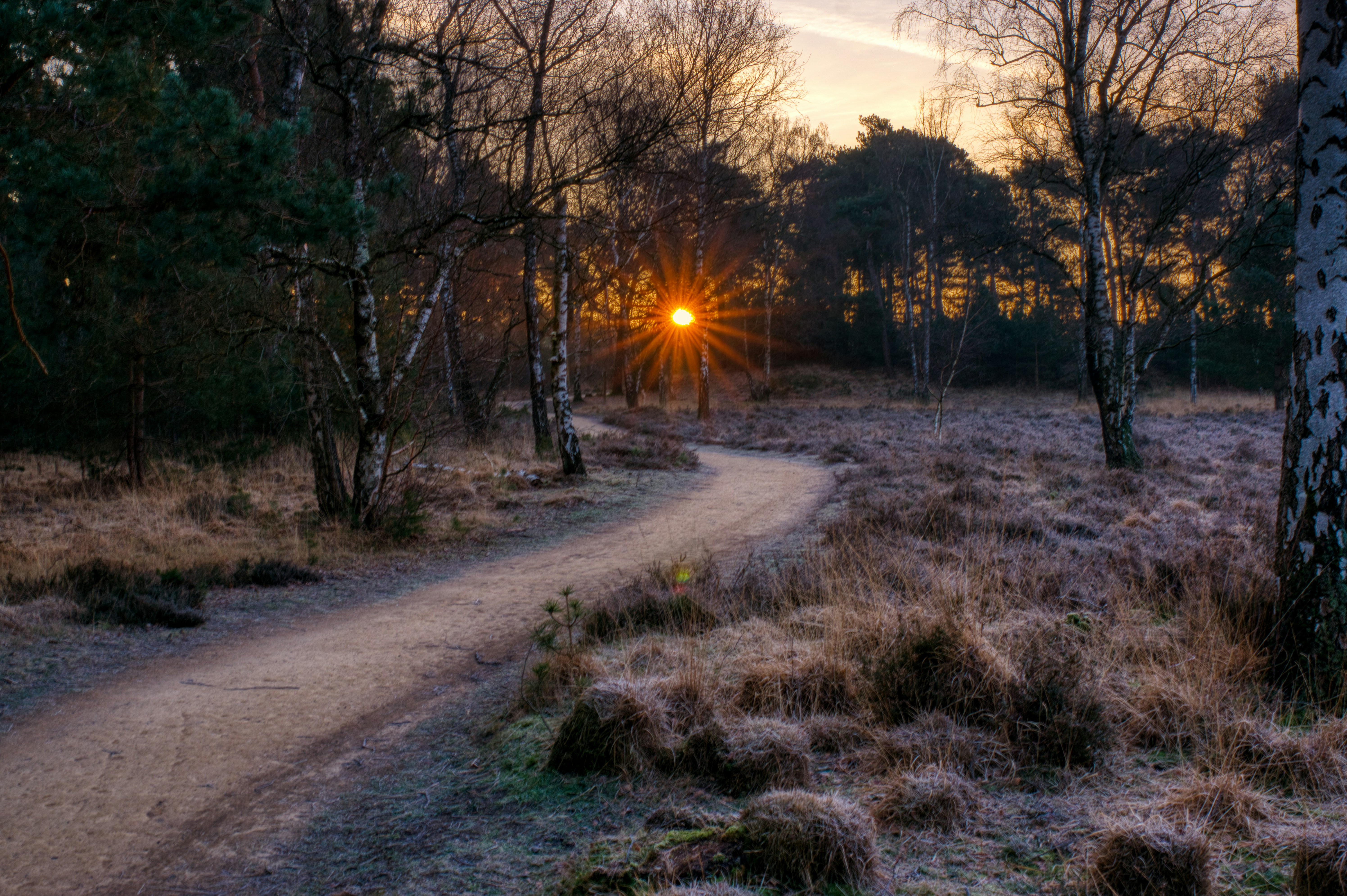 Foto van Boxtel