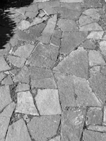 Black and white photograph of cracked pavement with shadows of nearby trees.