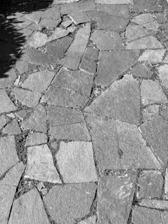 Black and white photograph of cracked pavement with shadows of nearby trees.