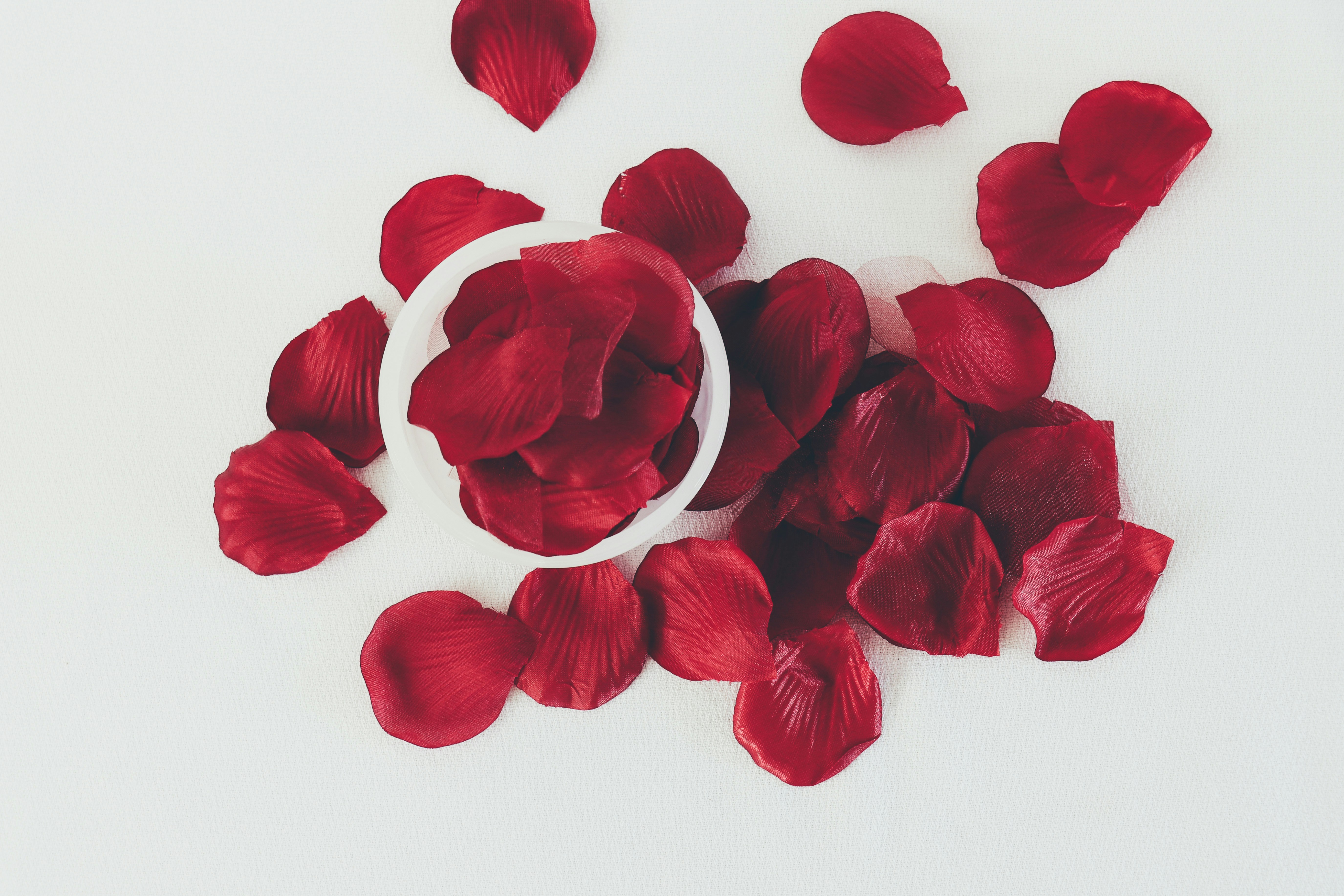 Red rose petals