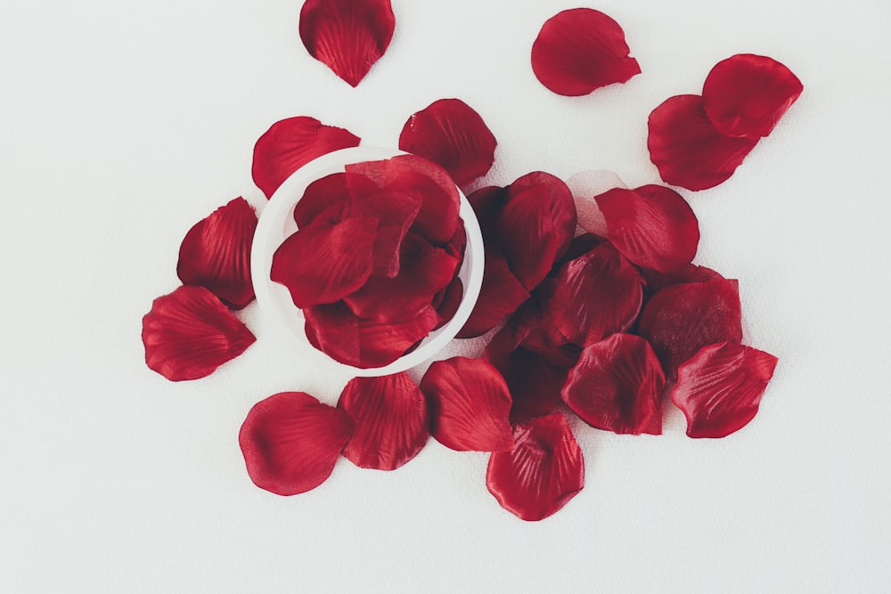rote Rosenblätter auf weißer Oberfläche