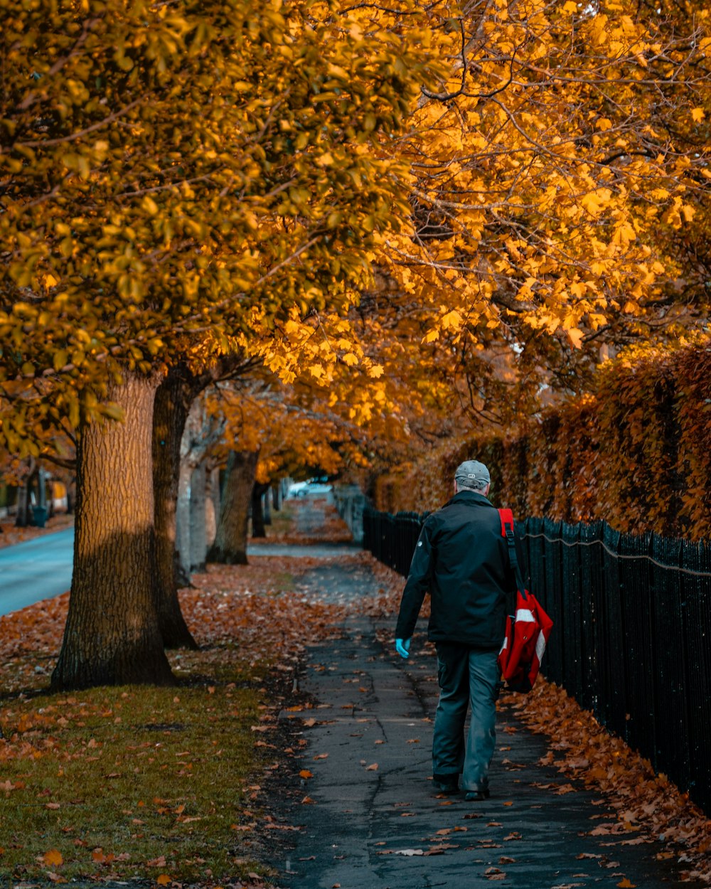 man in black jacket and red backpack walking on pathway between trees during daytime