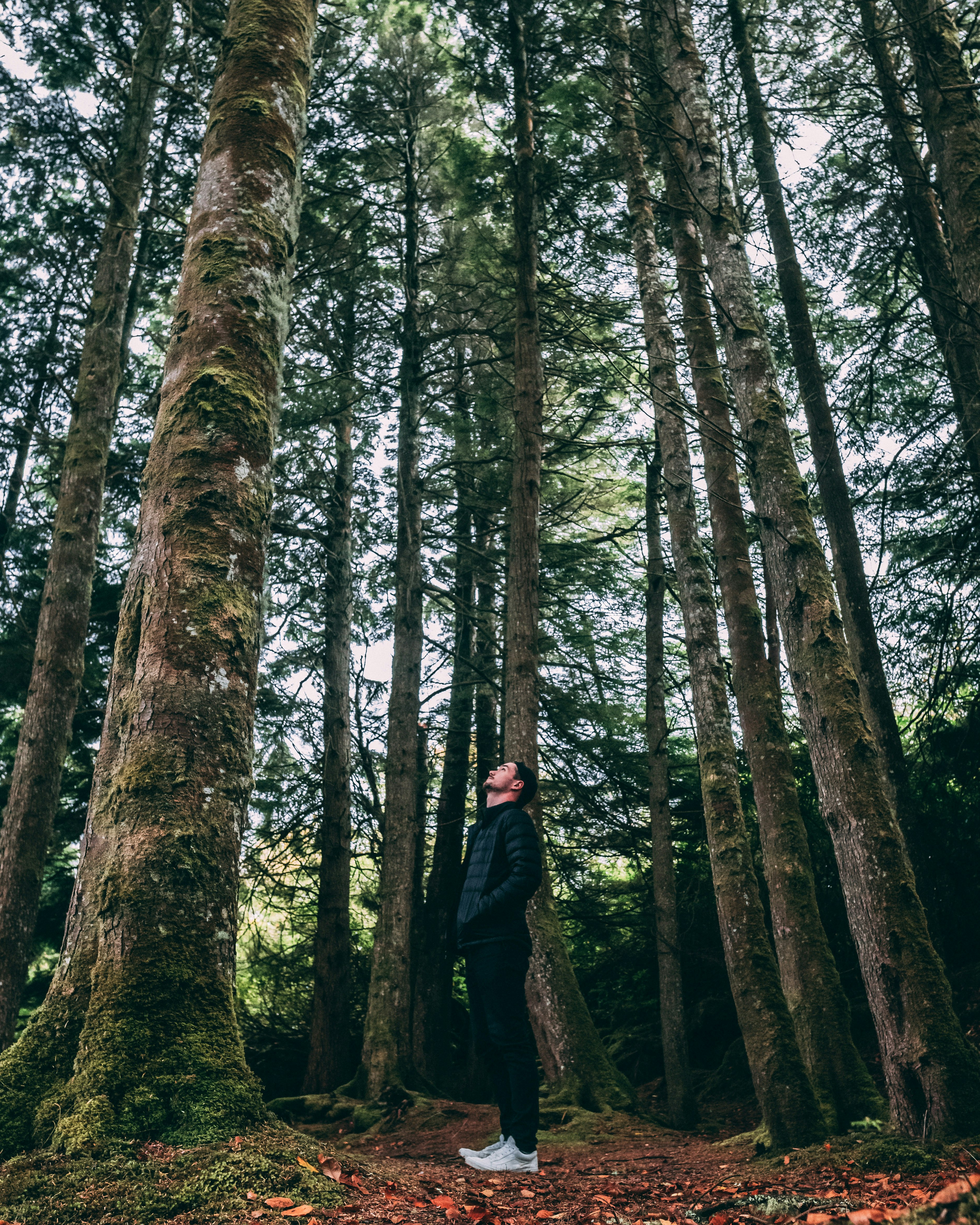 man in black jacket standing in the middle of the woods