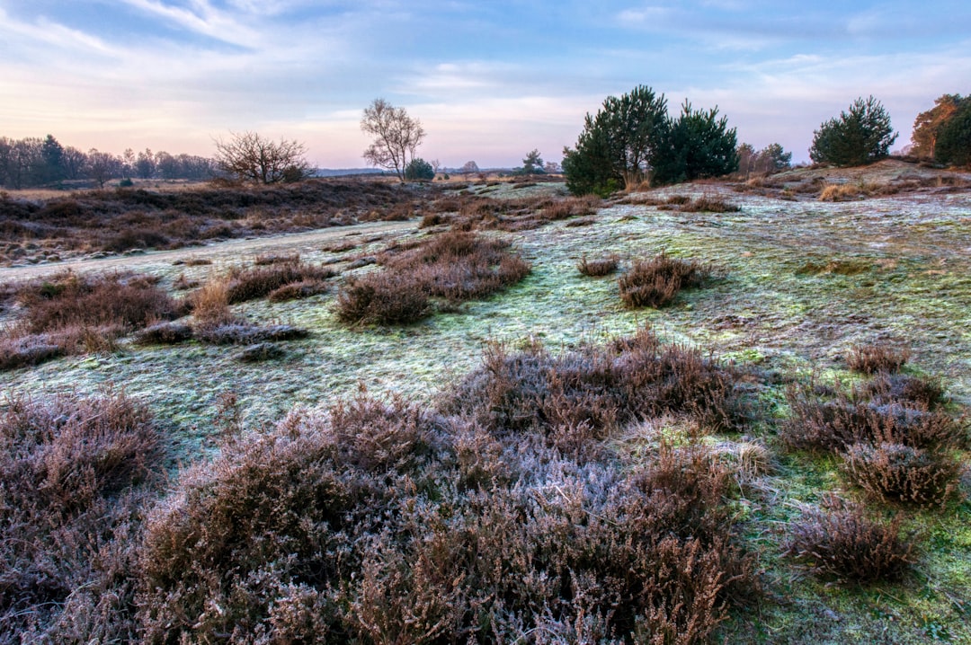 Afbeelding van Nederland