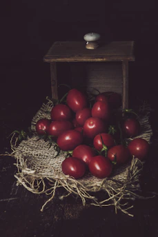 Behind-the-scenes shot of the Pomodoro team capturing styled photos of fresh farm produce in a cozy Scandinavian kitchen.