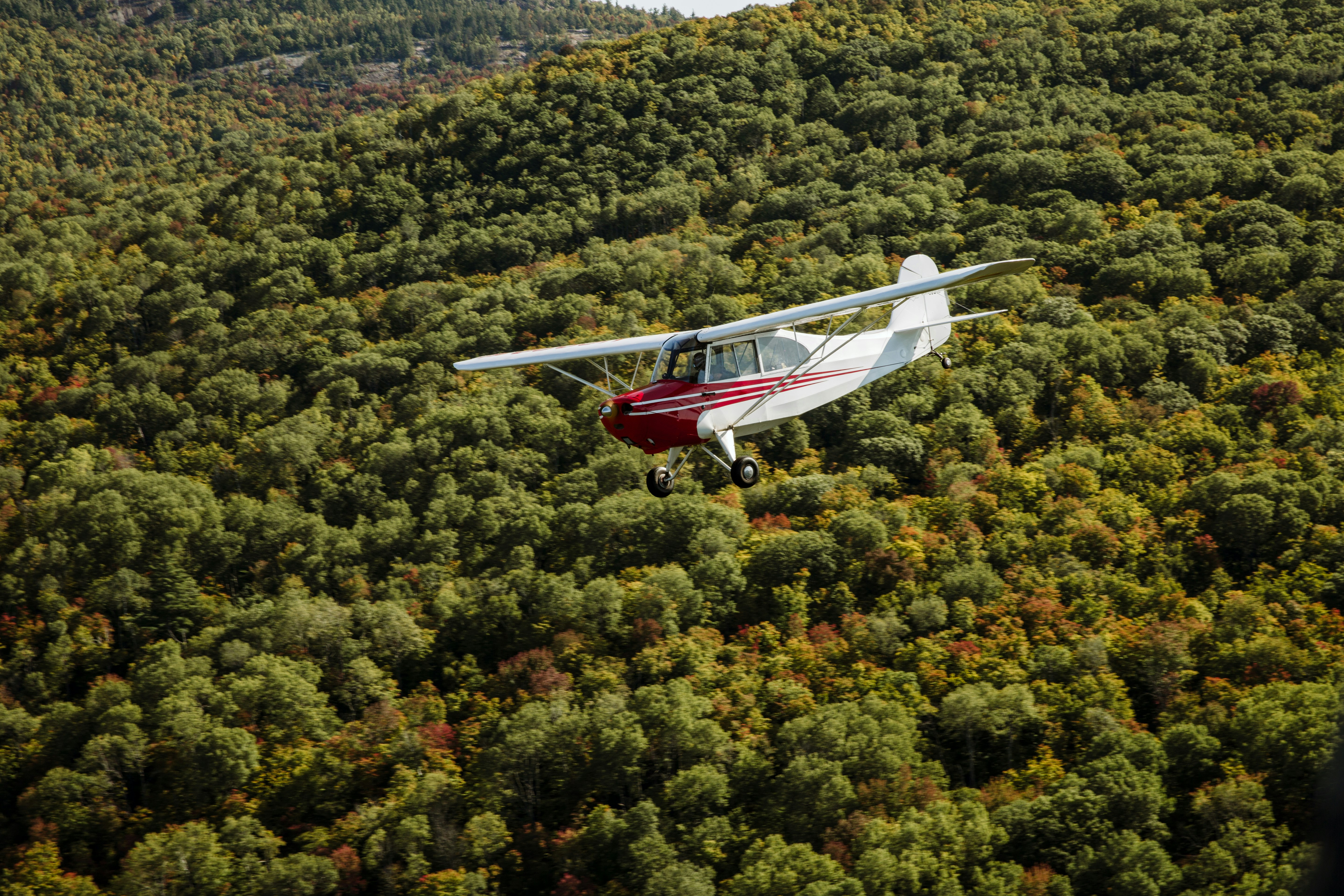 white and red airplane flying over green trees during daytime