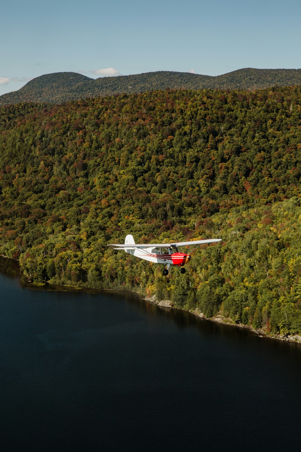 white and red airplane flying over green trees during daytime