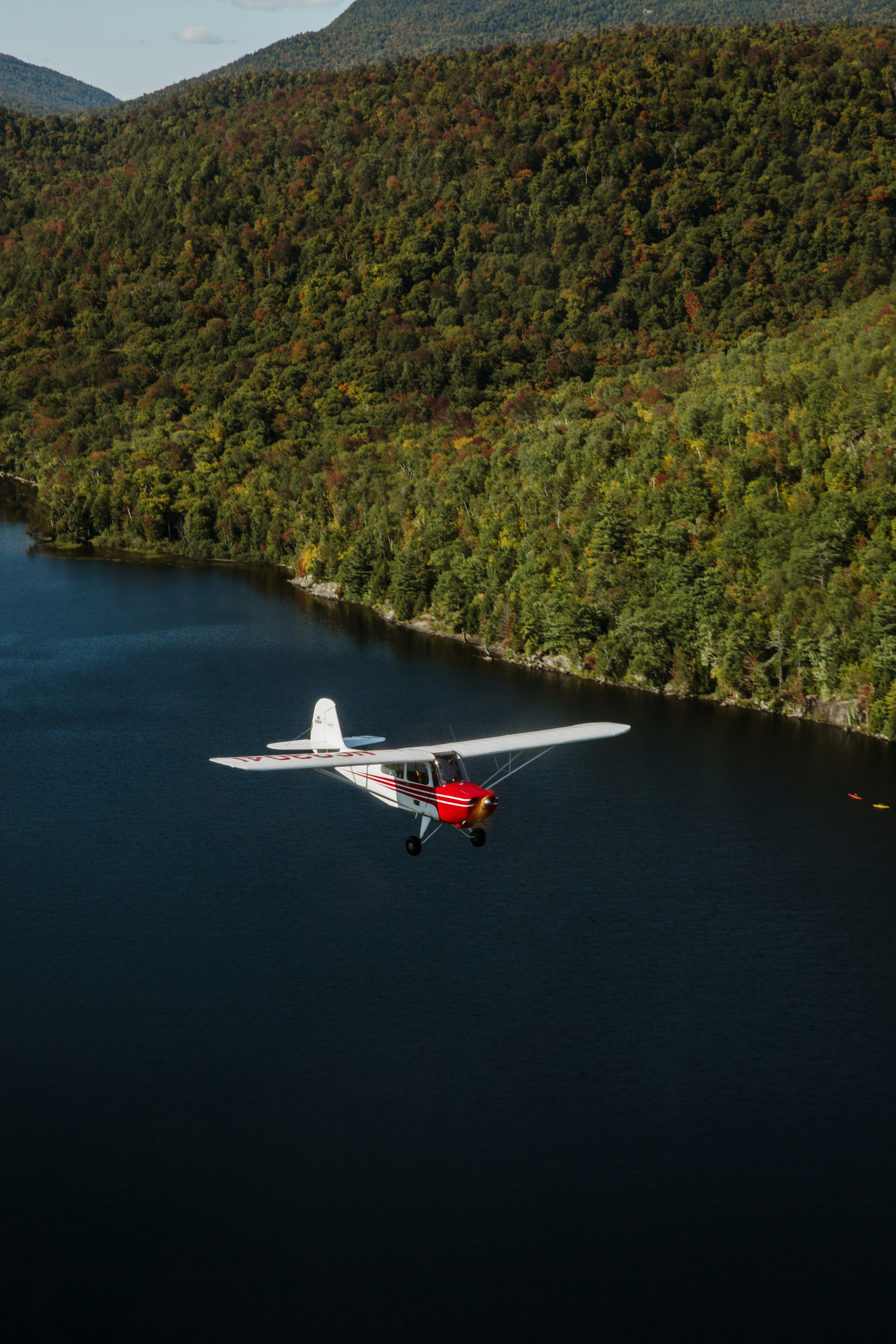 white and red airplane flying over green trees during daytime