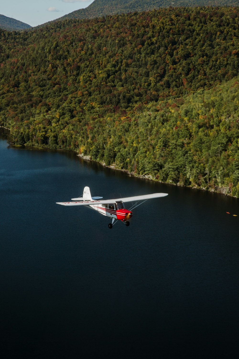 white and red airplane flying over green trees during daytime