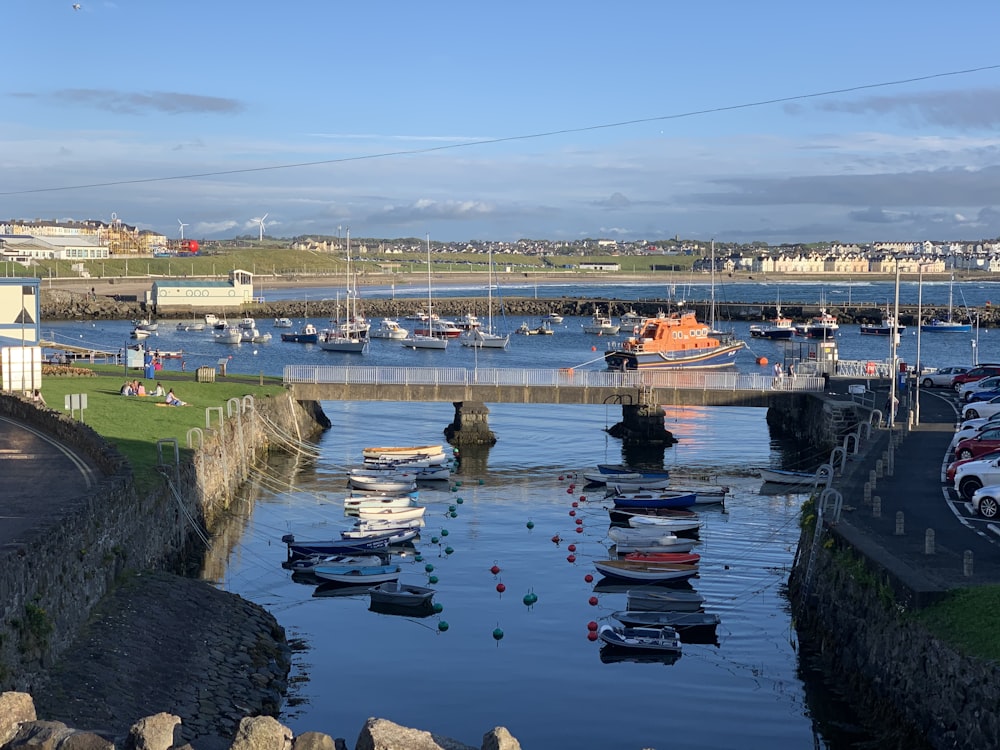 boats on water near bridge during daytime