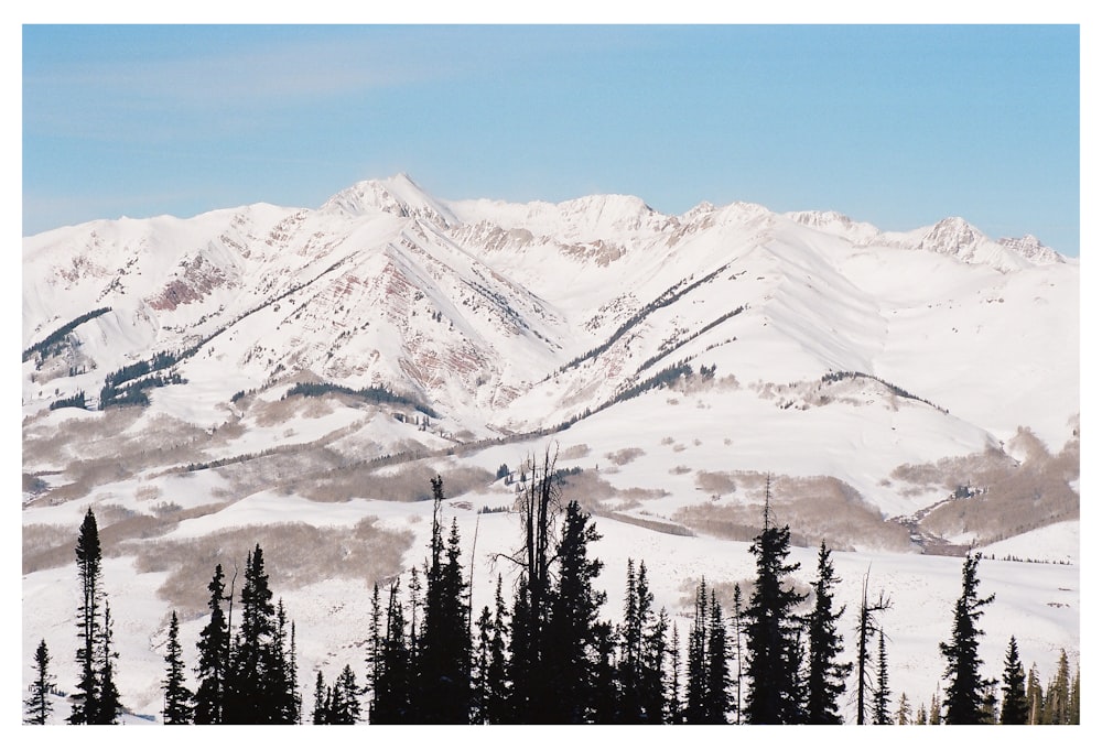 snow covered mountain during daytime