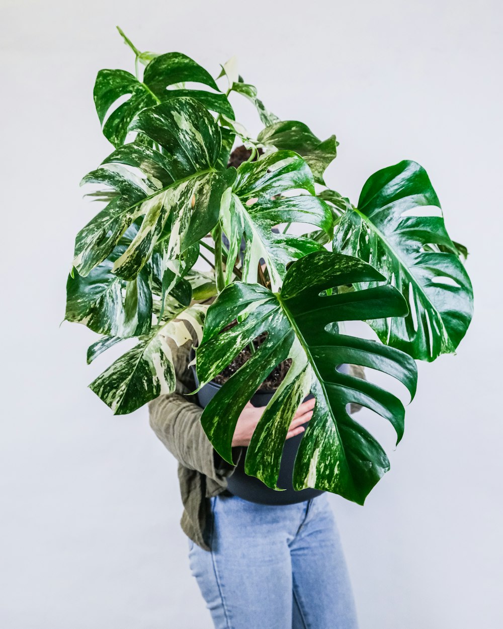 person in gray jacket and blue denim jeans standing beside green plant