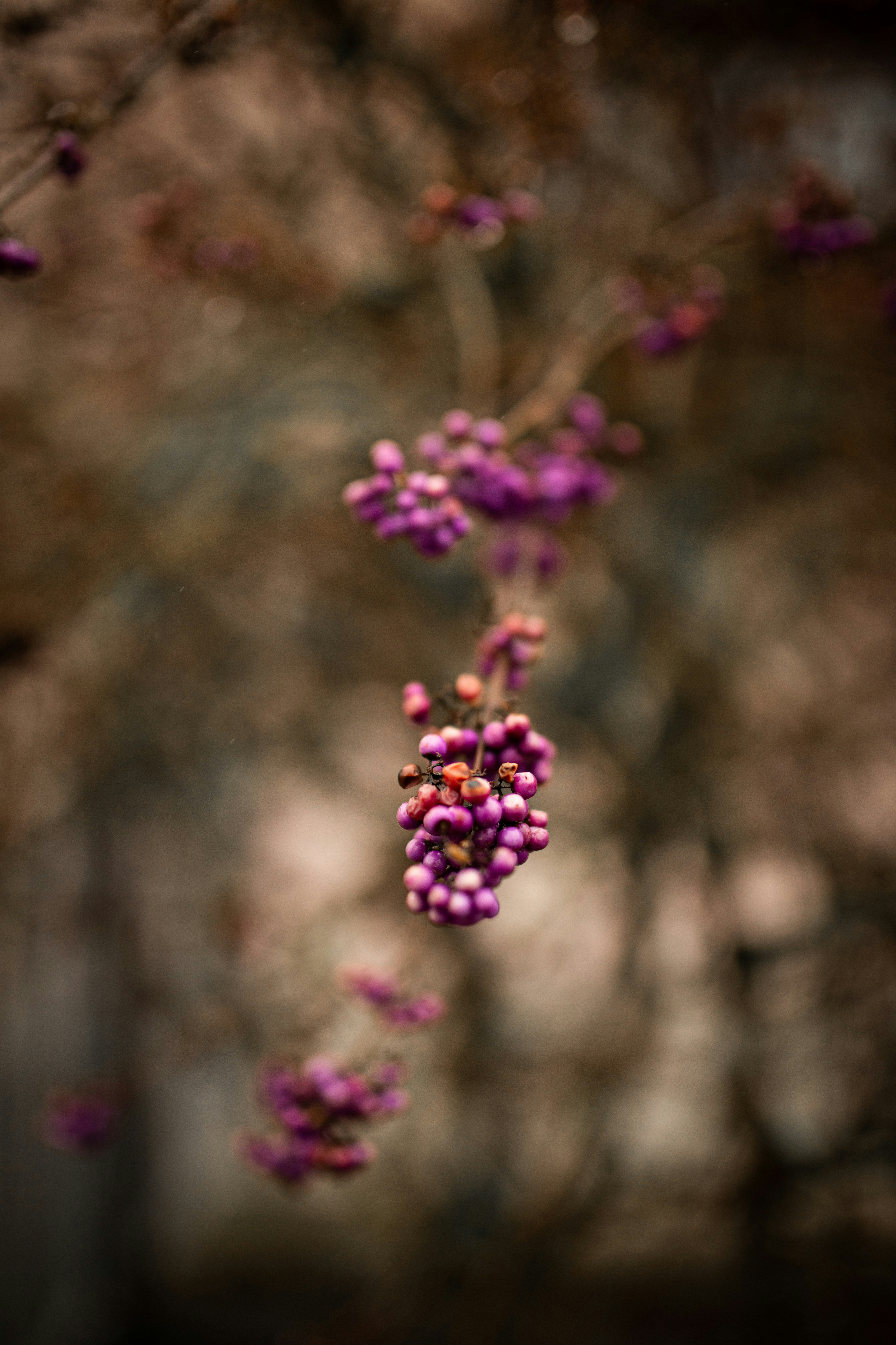 Photo by kajareichardtphotos