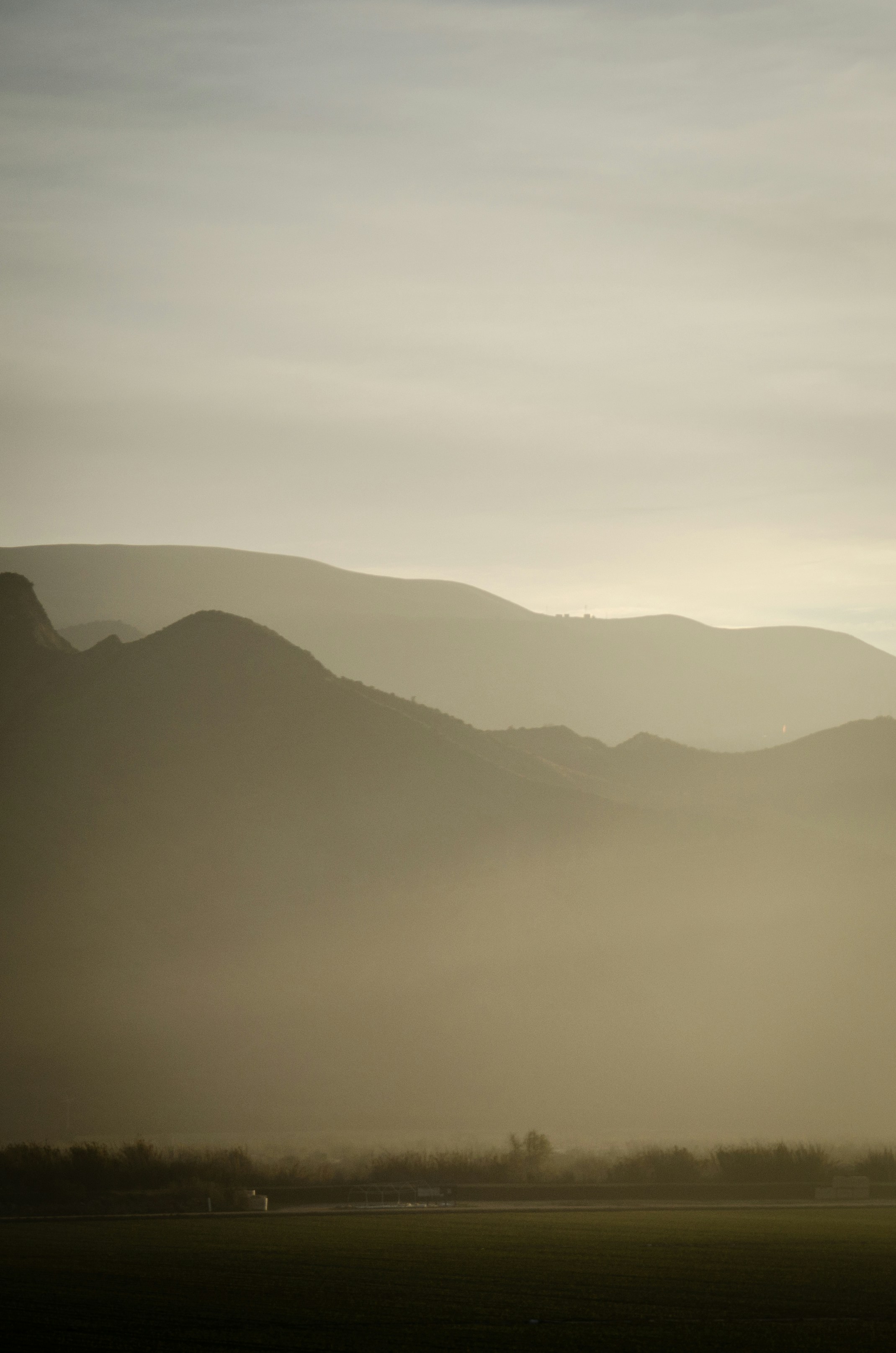 Photo by lookitsirving