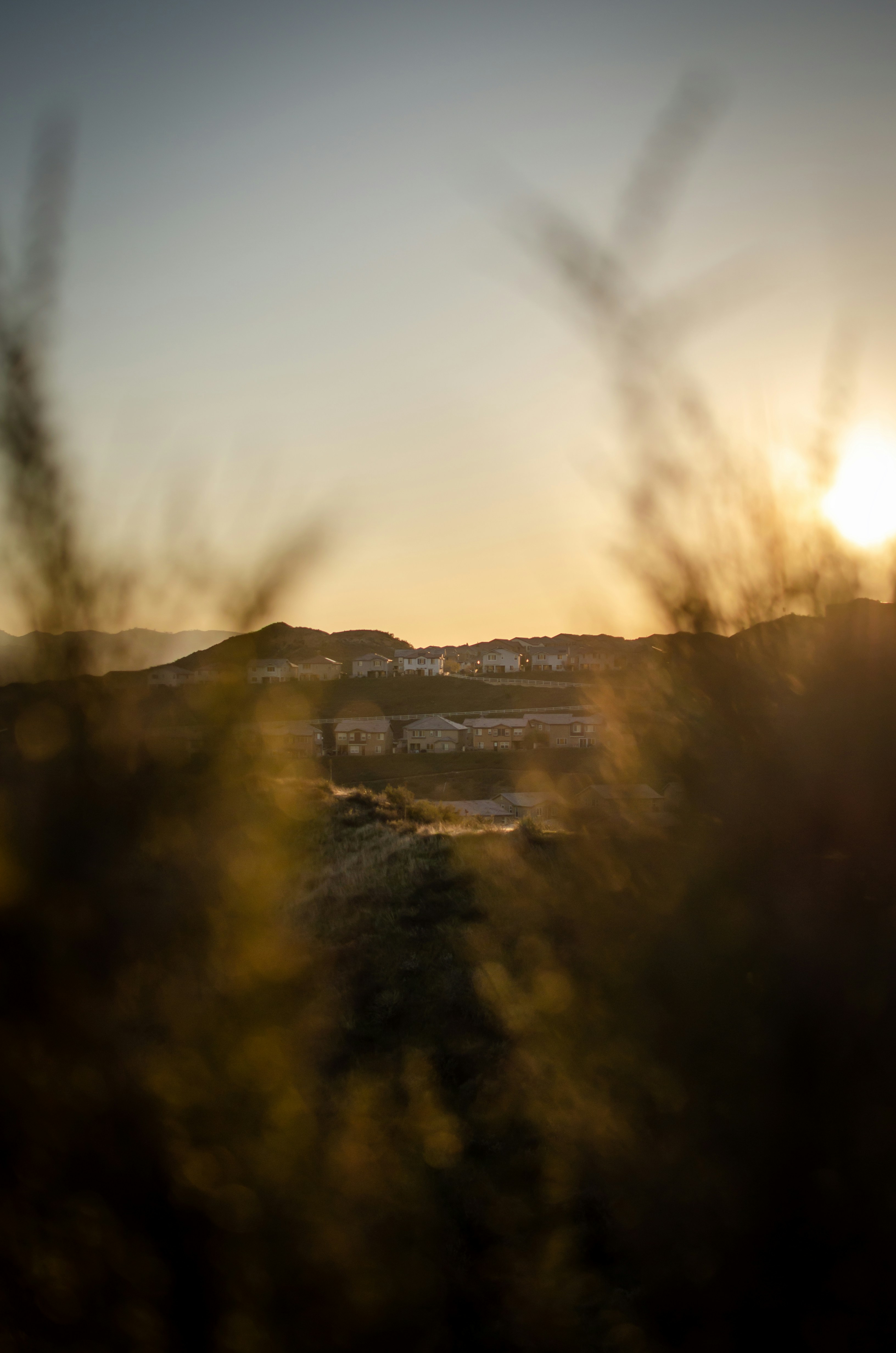 Photo by lookitsirving