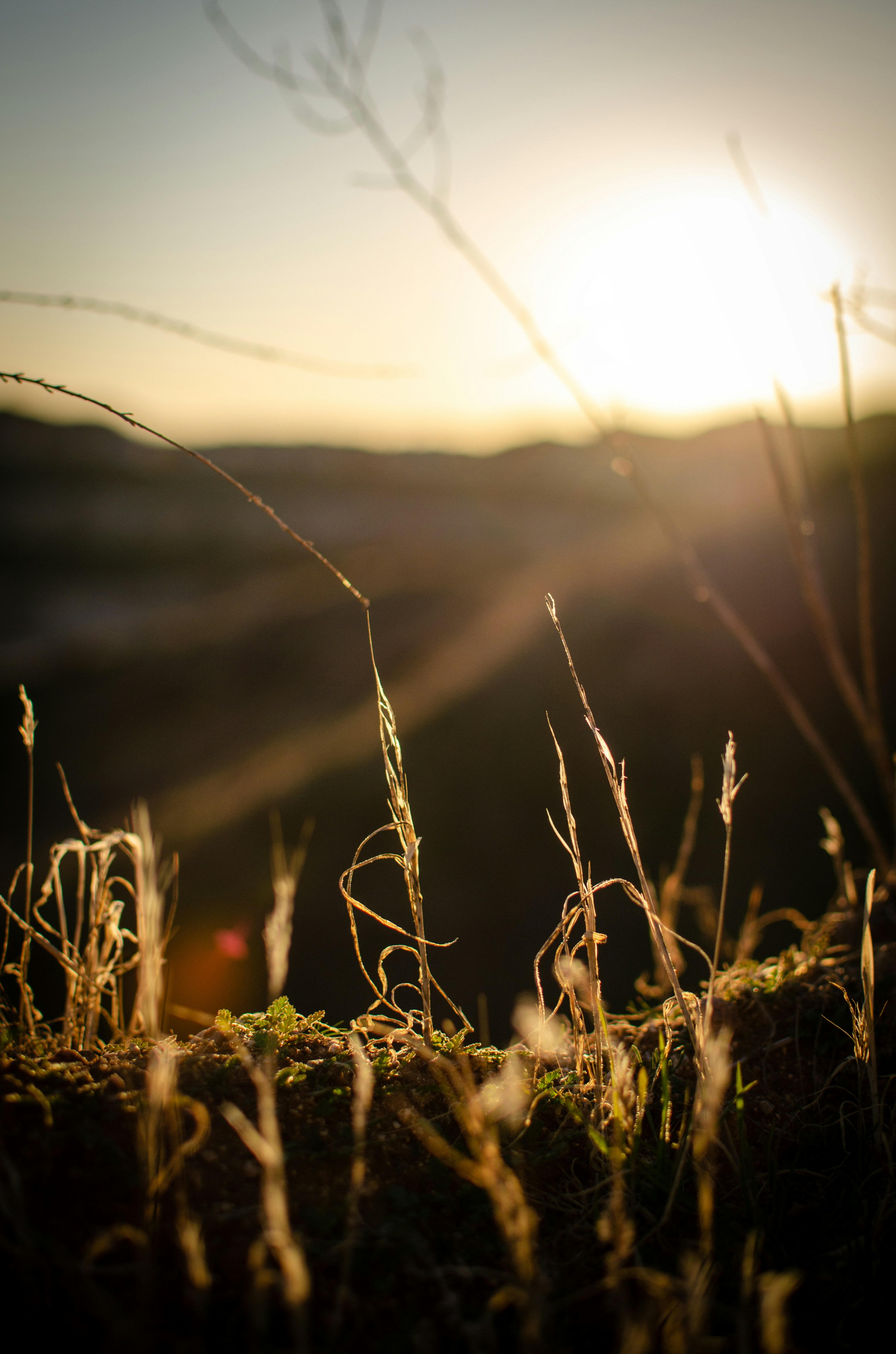 Photo by lookitsirving