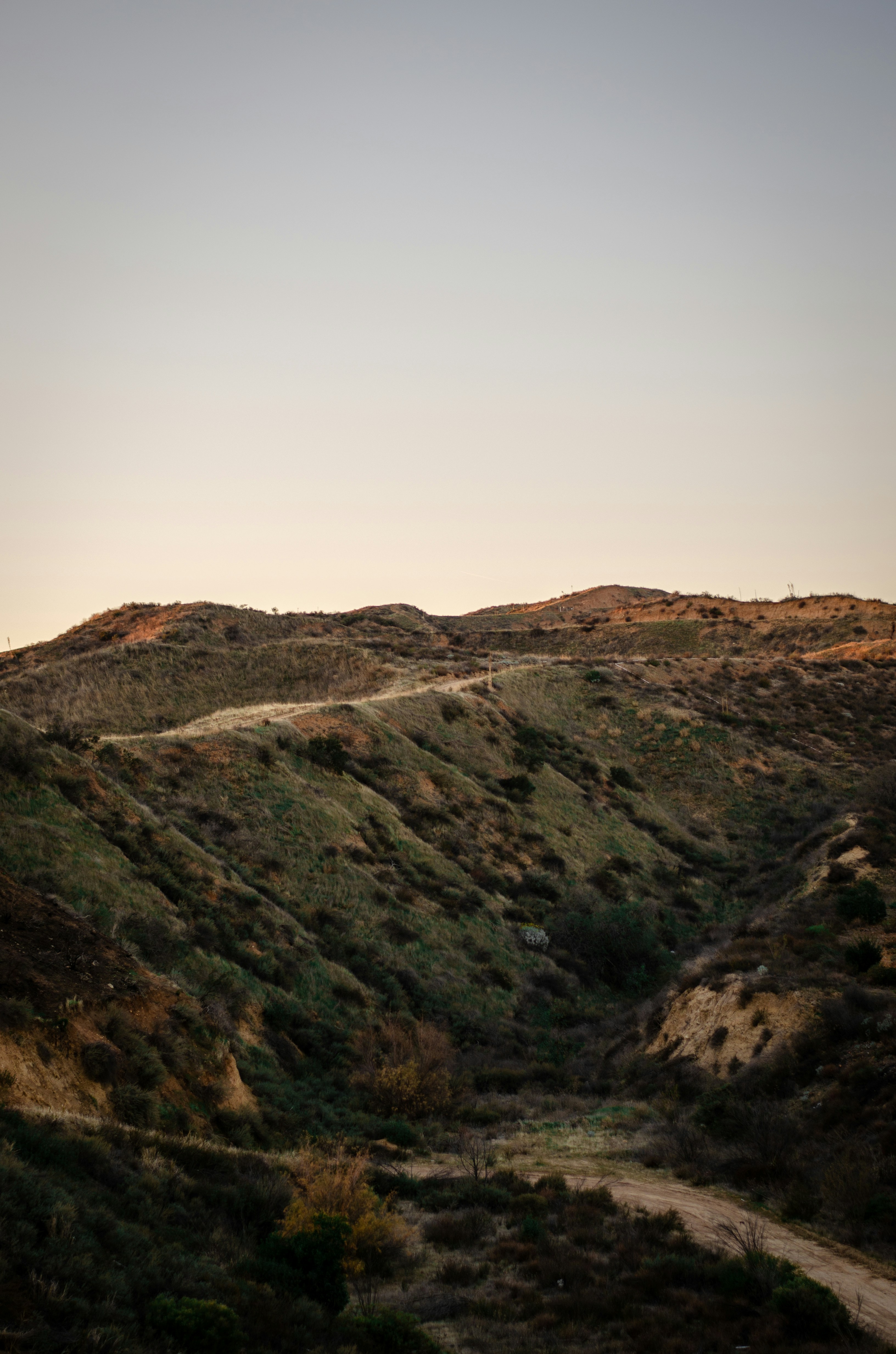 Photo by lookitsirving