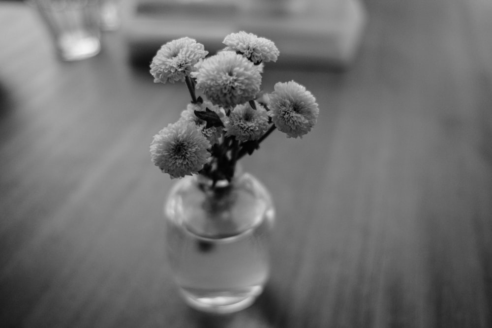 grayscale photo of white flowers in clear glass vase