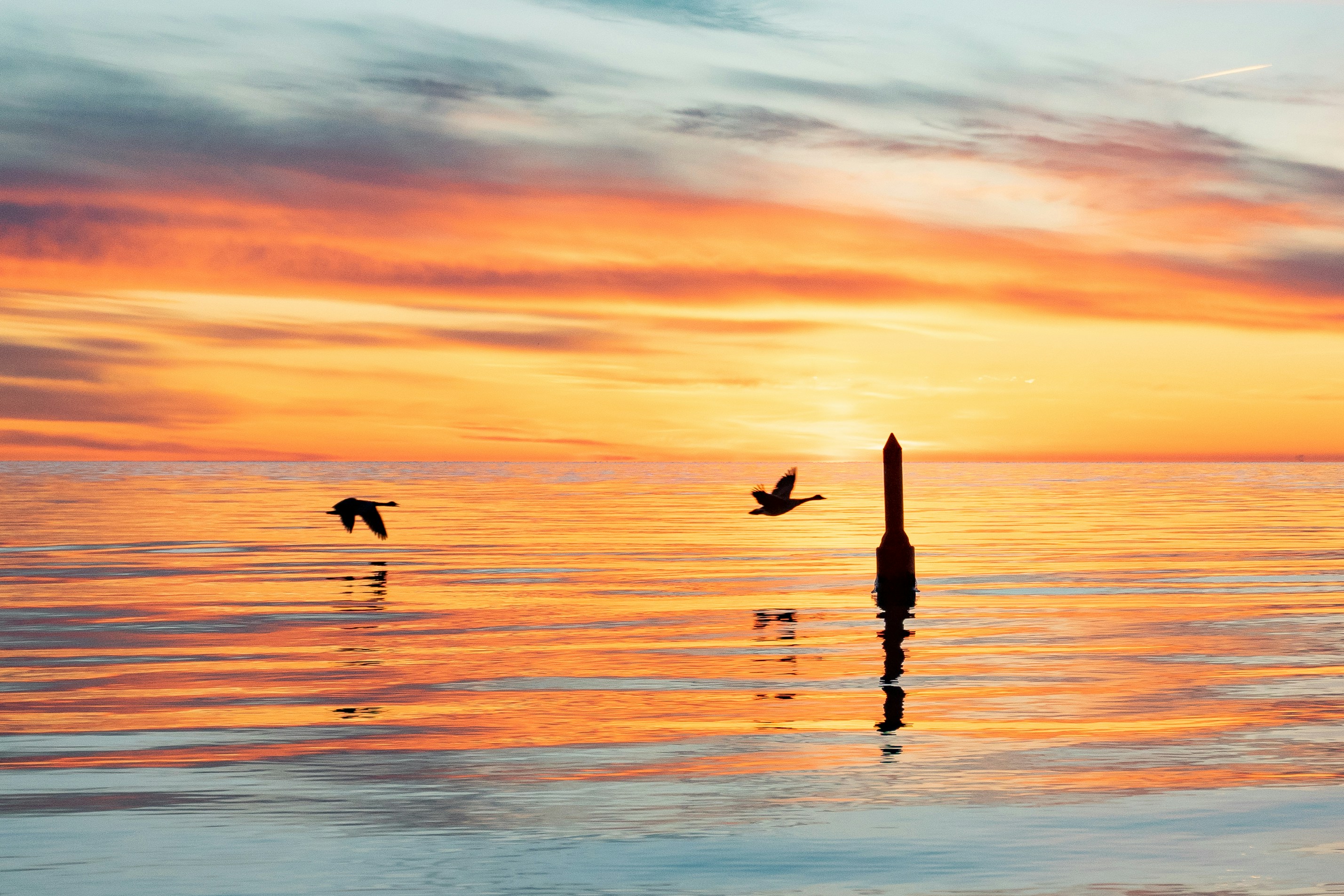 Photo by michael_g_krahn