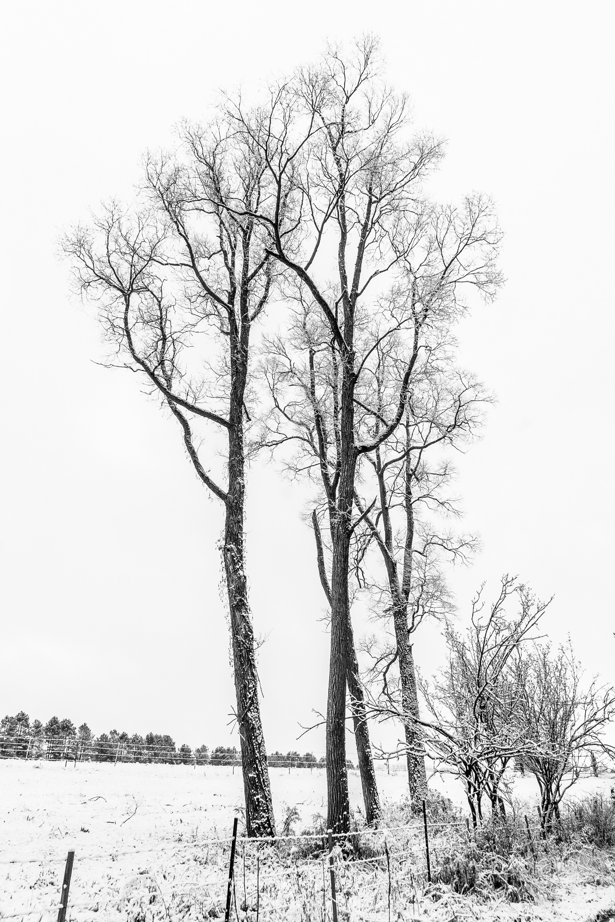 Photo by michael_g_krahn