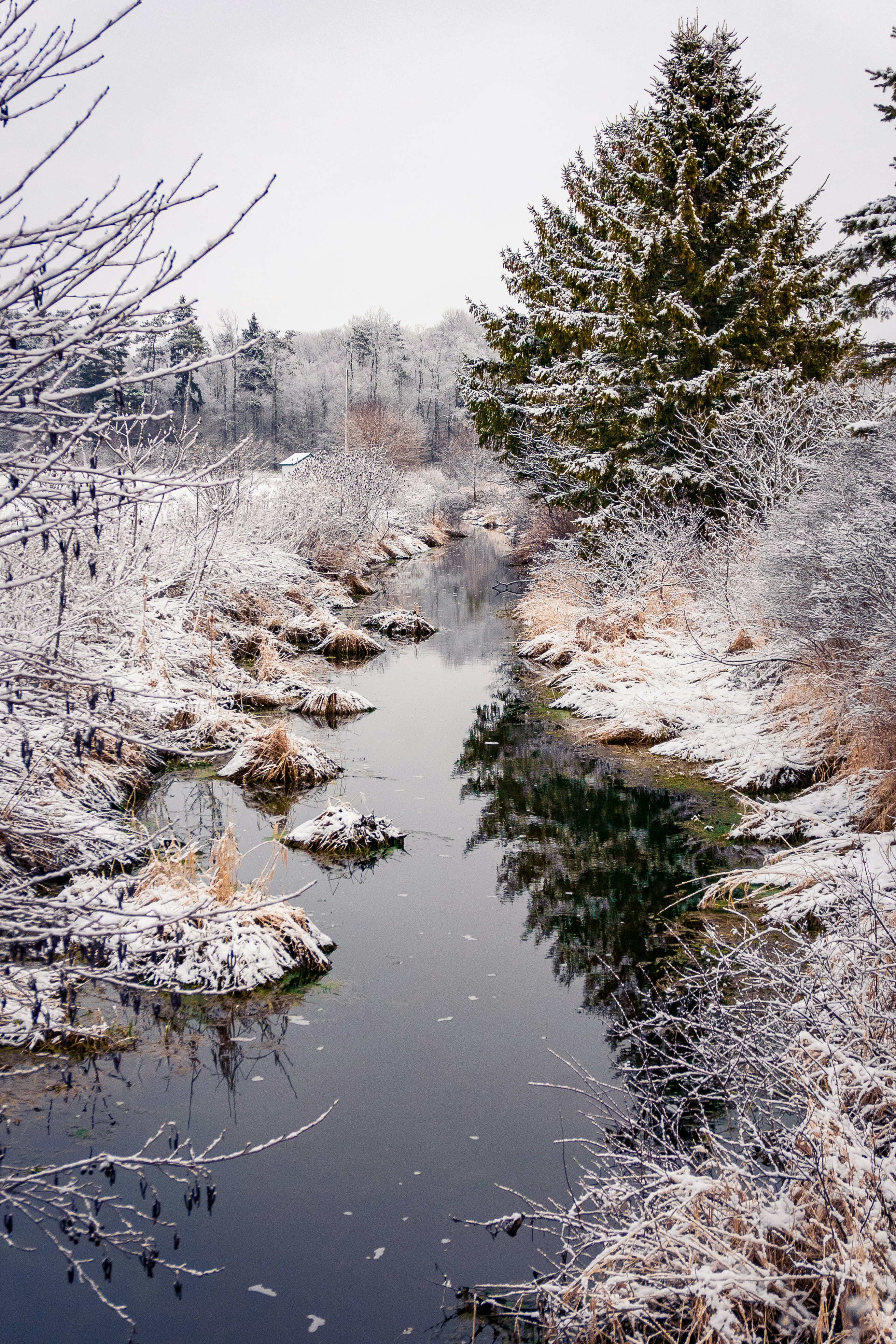 Photo by michael_g_krahn