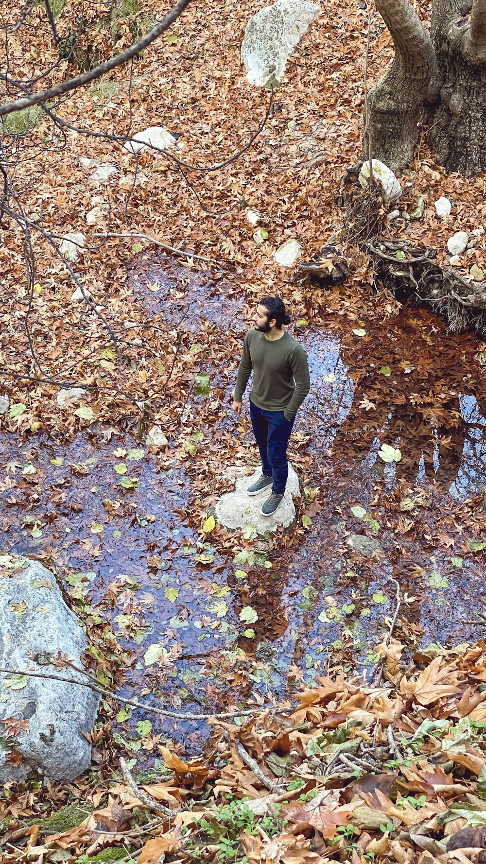 uomo in giacca nera e jeans blu denim che cammina sulle foglie secche a terra