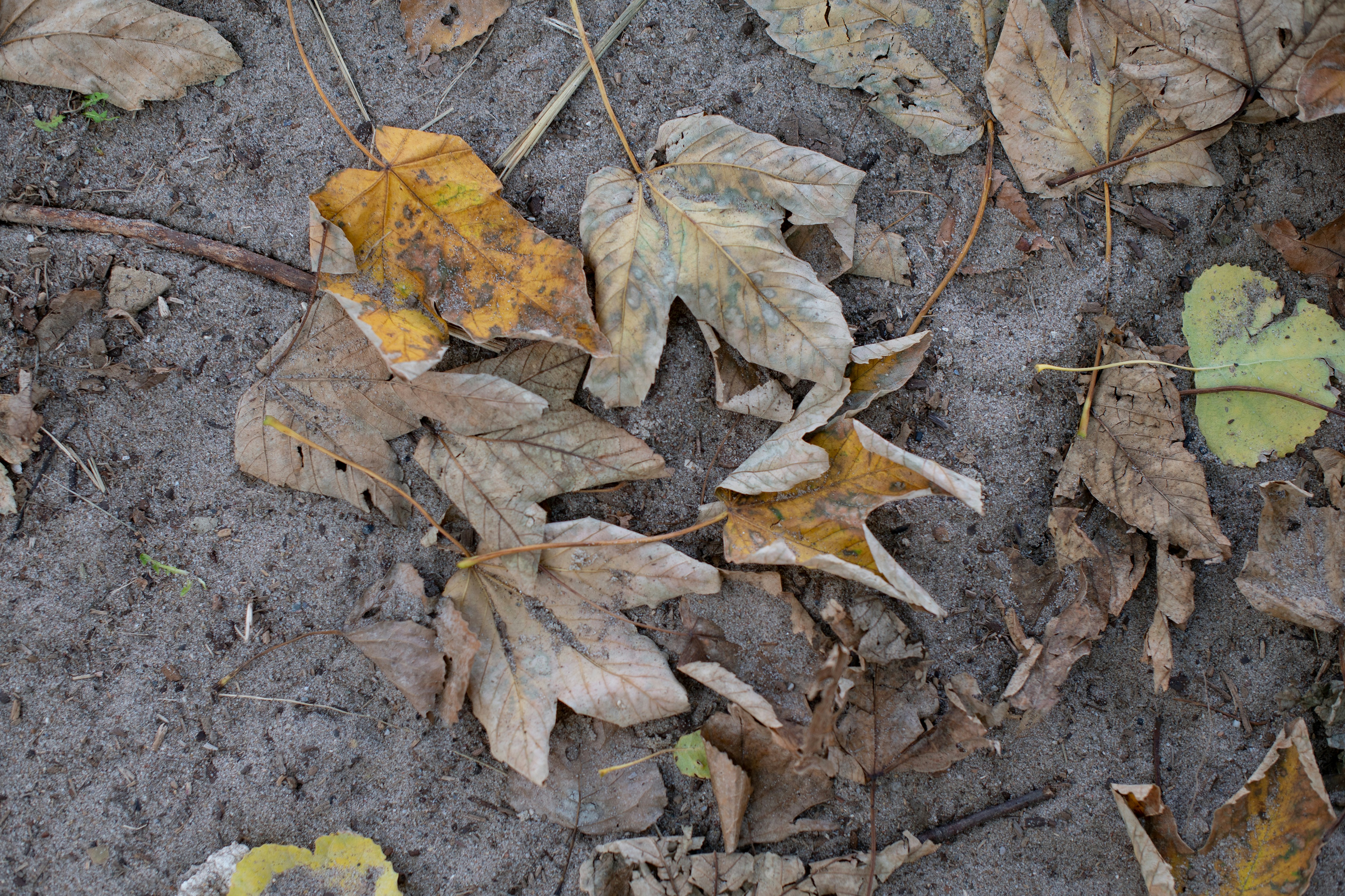 Photo by peterneumann