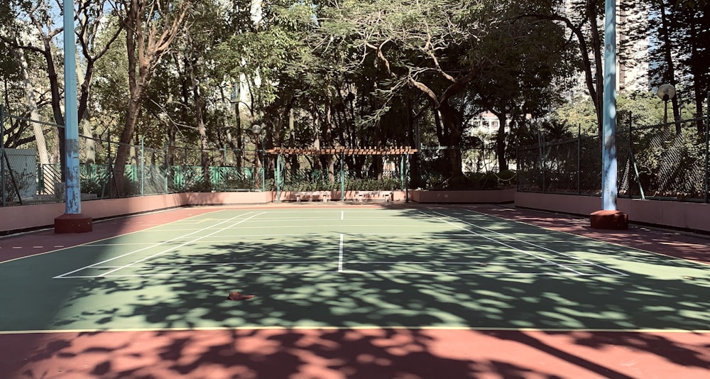 green trees on park during daytime