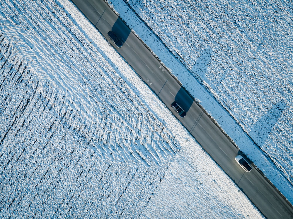 blue and white area rug