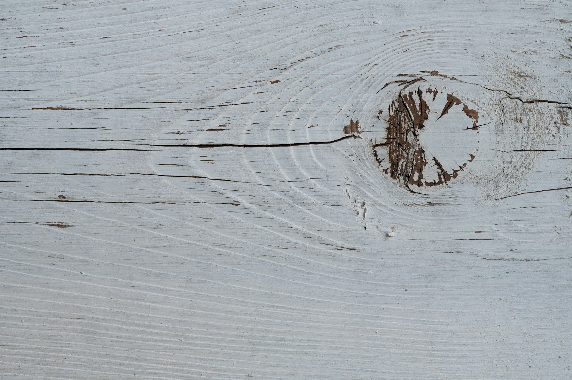 brown tree branch on white wooden surface