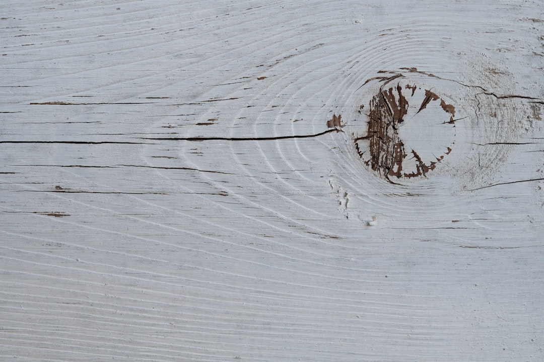 brown tree branch on white wooden surface