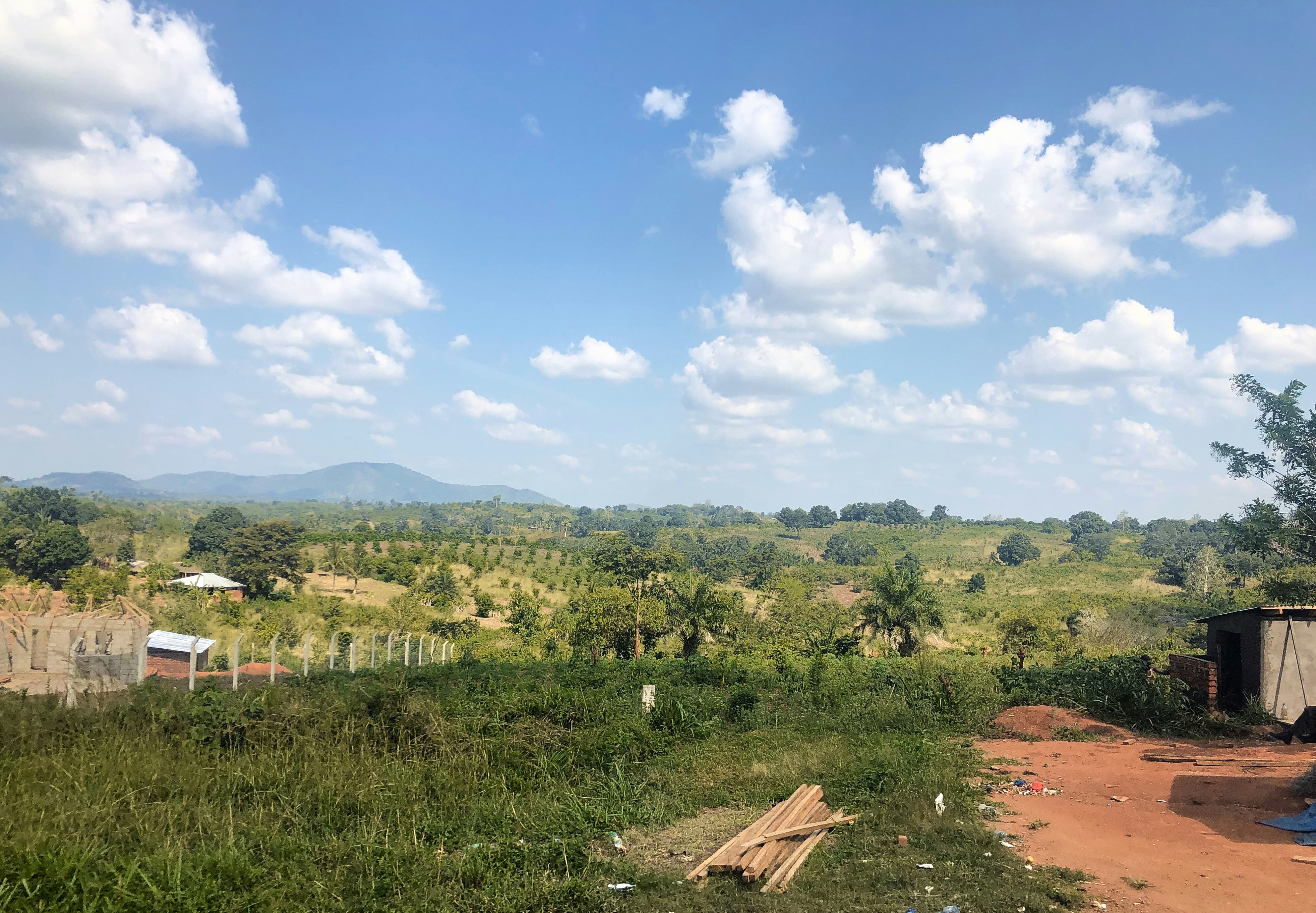 campo de hierba verde cerca de árboles verdes bajo el cielo azul durante el día