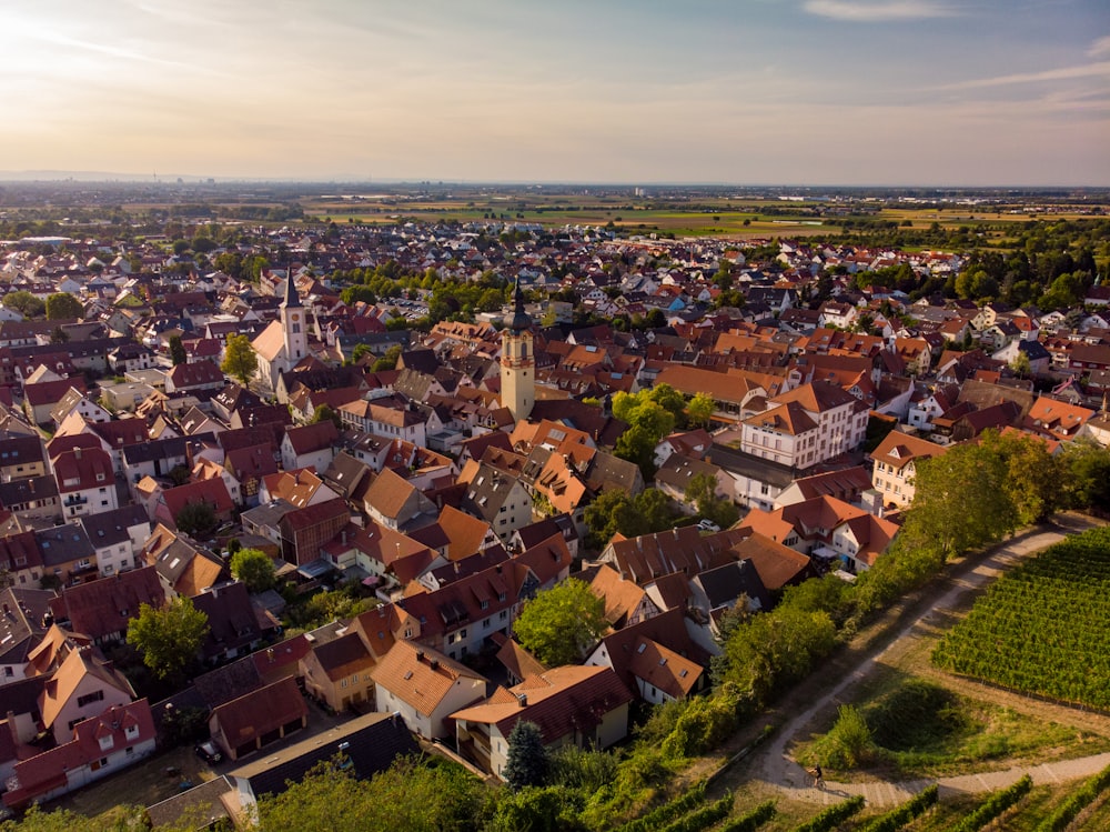 an aerial view of a small town with a vineyard