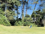 A peaceful garden area with lounge chairs and greenery.