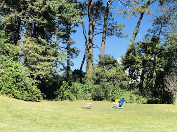 A peaceful garden nook with comfortable chairs and soft cushions inviting relaxation.