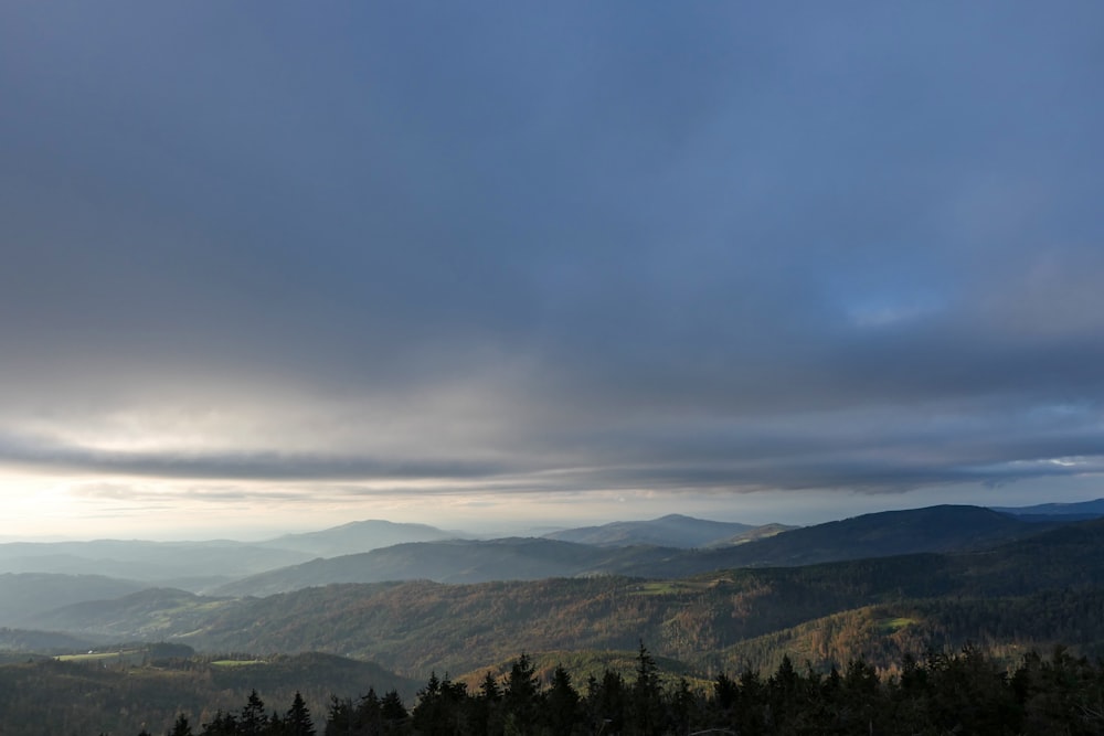 green trees on mountain under white clouds during daytime