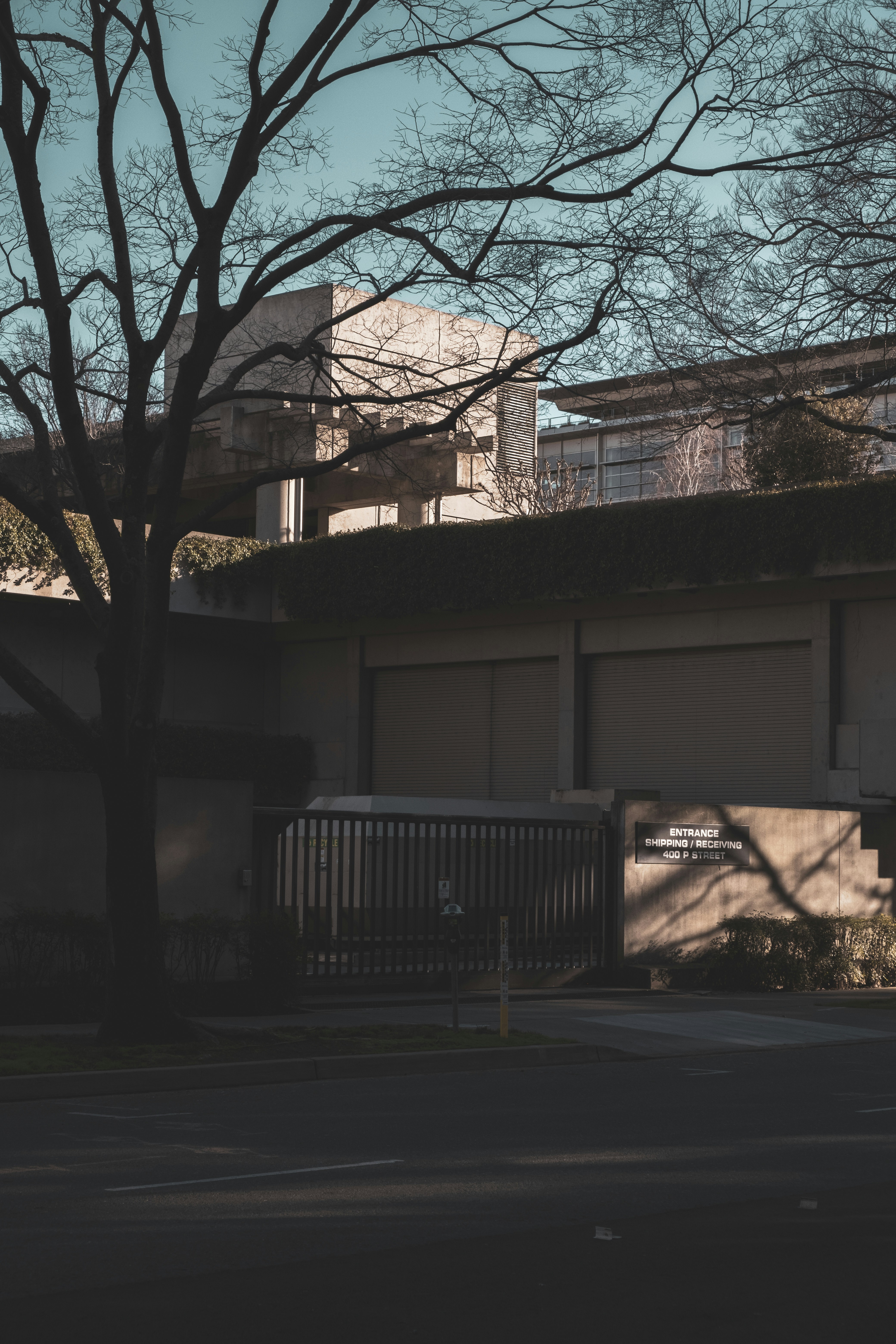 Photo by parsoakhorsand