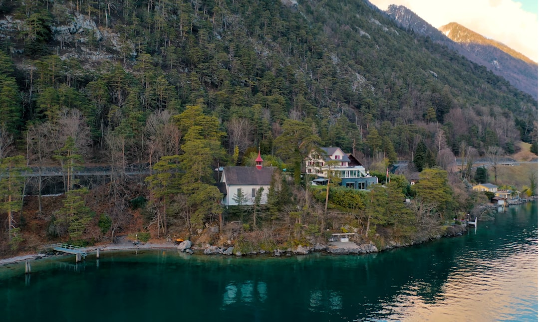 houses near lake and mountain