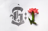 A close-up of a beautifully illustrated letter by Shradha Kumar.