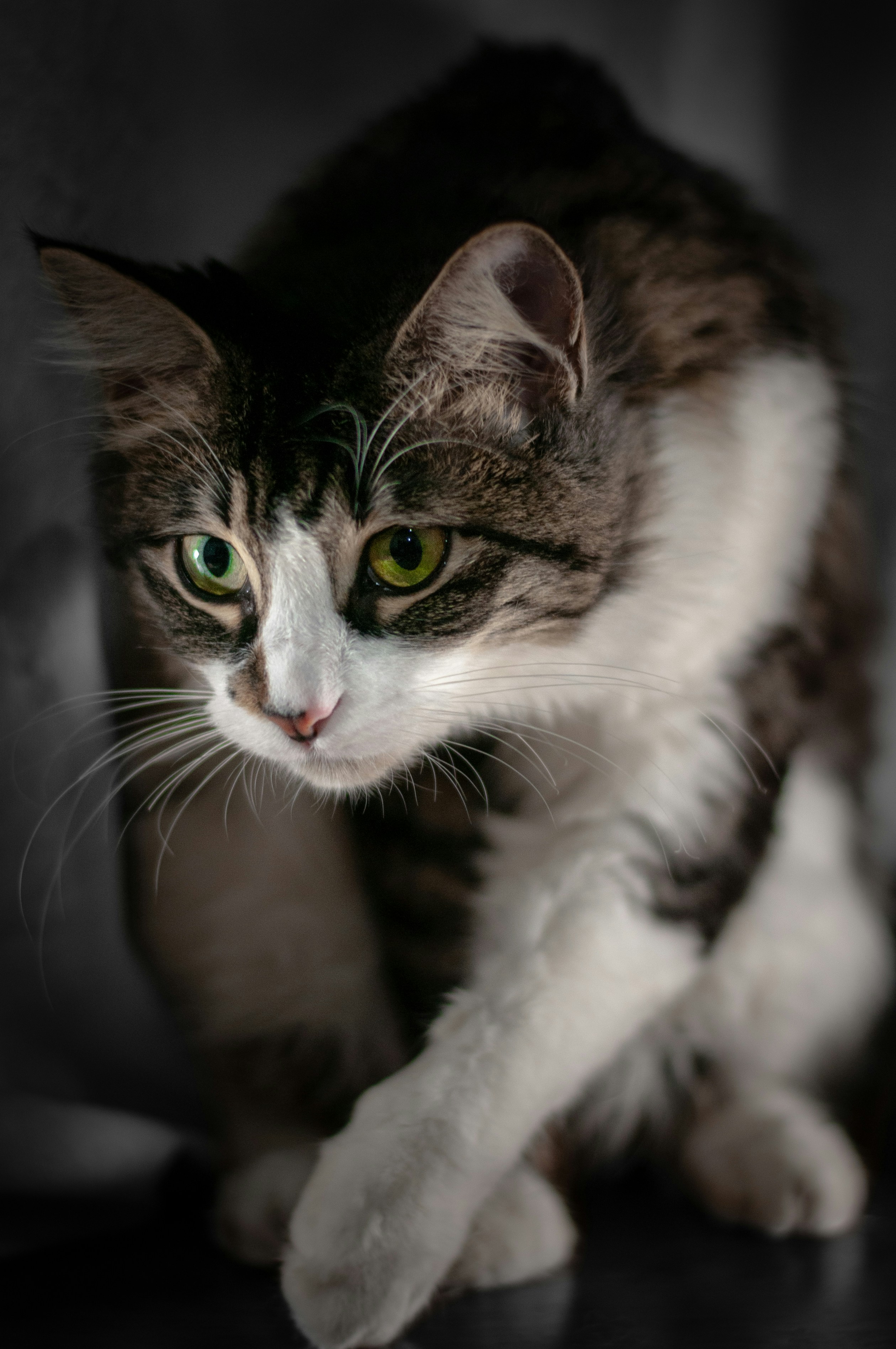 Photo by aniadigyozalyan