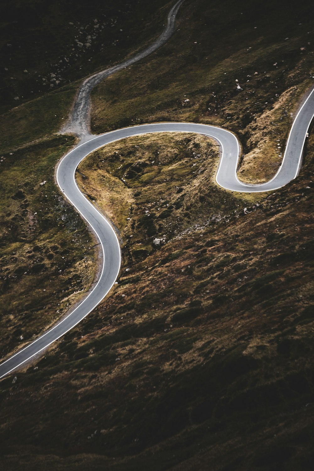 Vista aérea de la carretera en medio del bosque