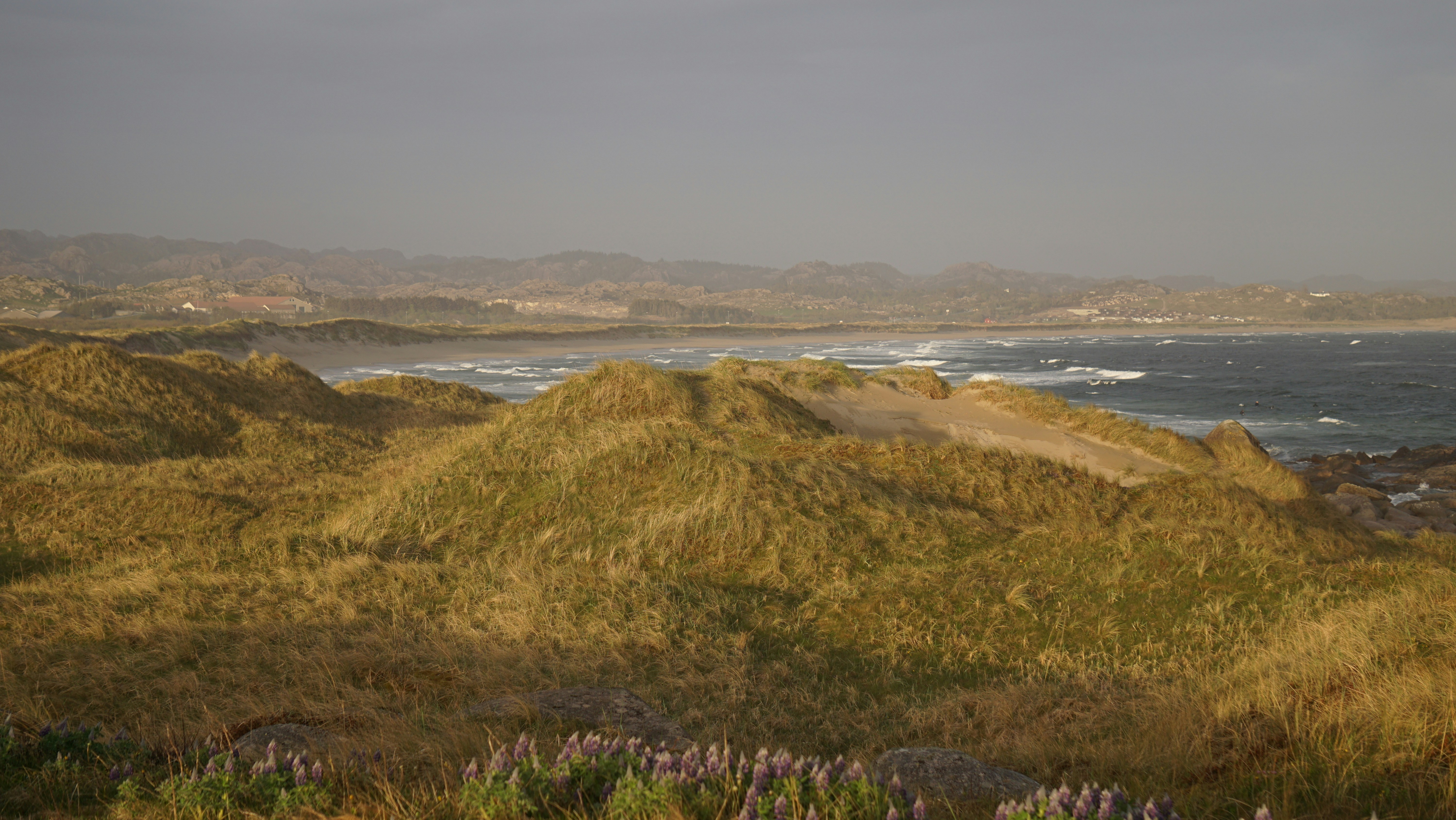 Photo by cristian_s77