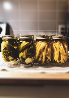 fermentasi makanan
