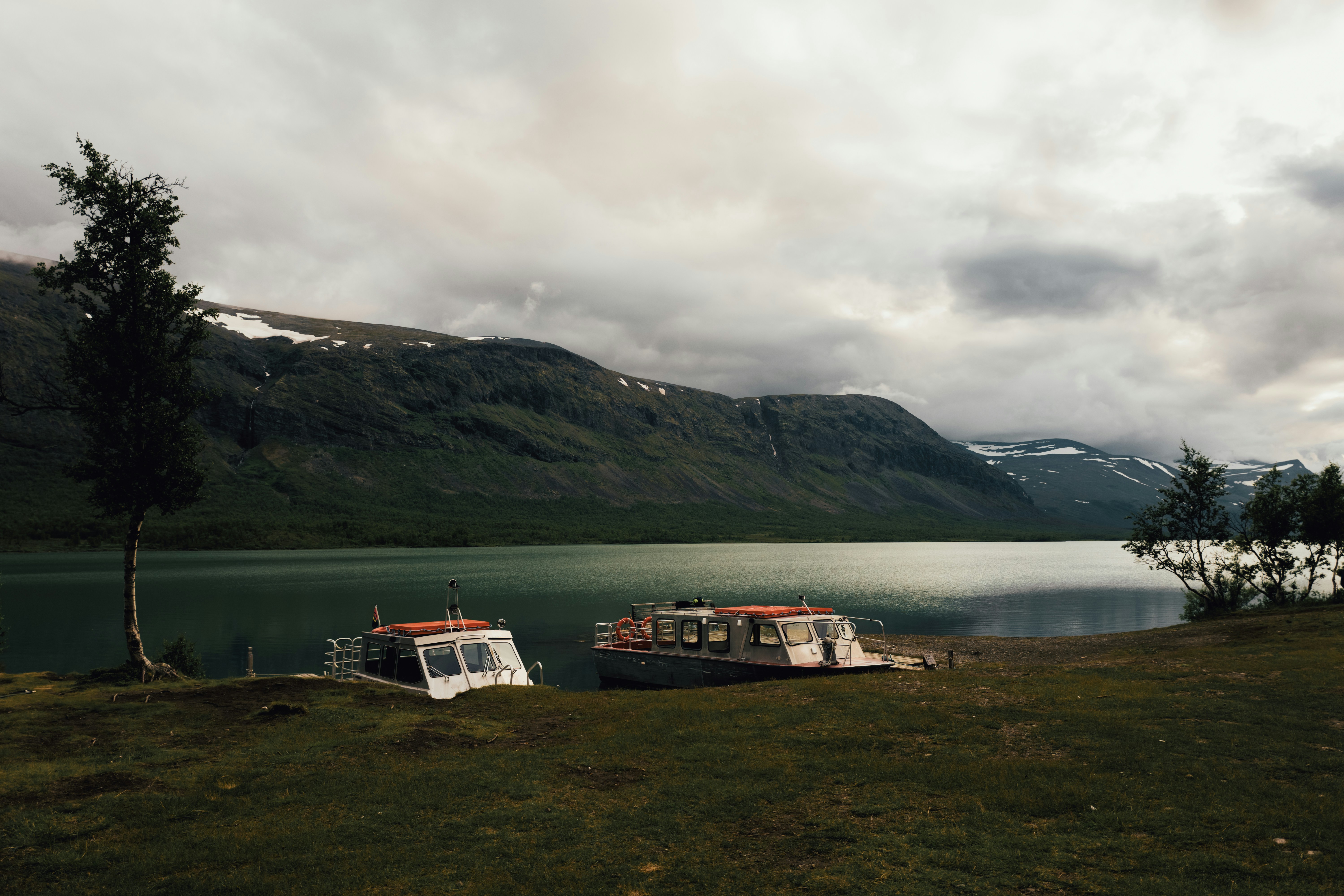red and white suv on green grass field near lake
