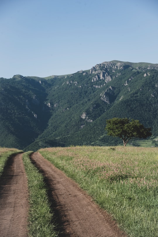 green grass field near mountain during daytime in Dsegh Armenia