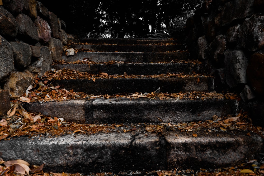 gray concrete staircase with brown dried leaves