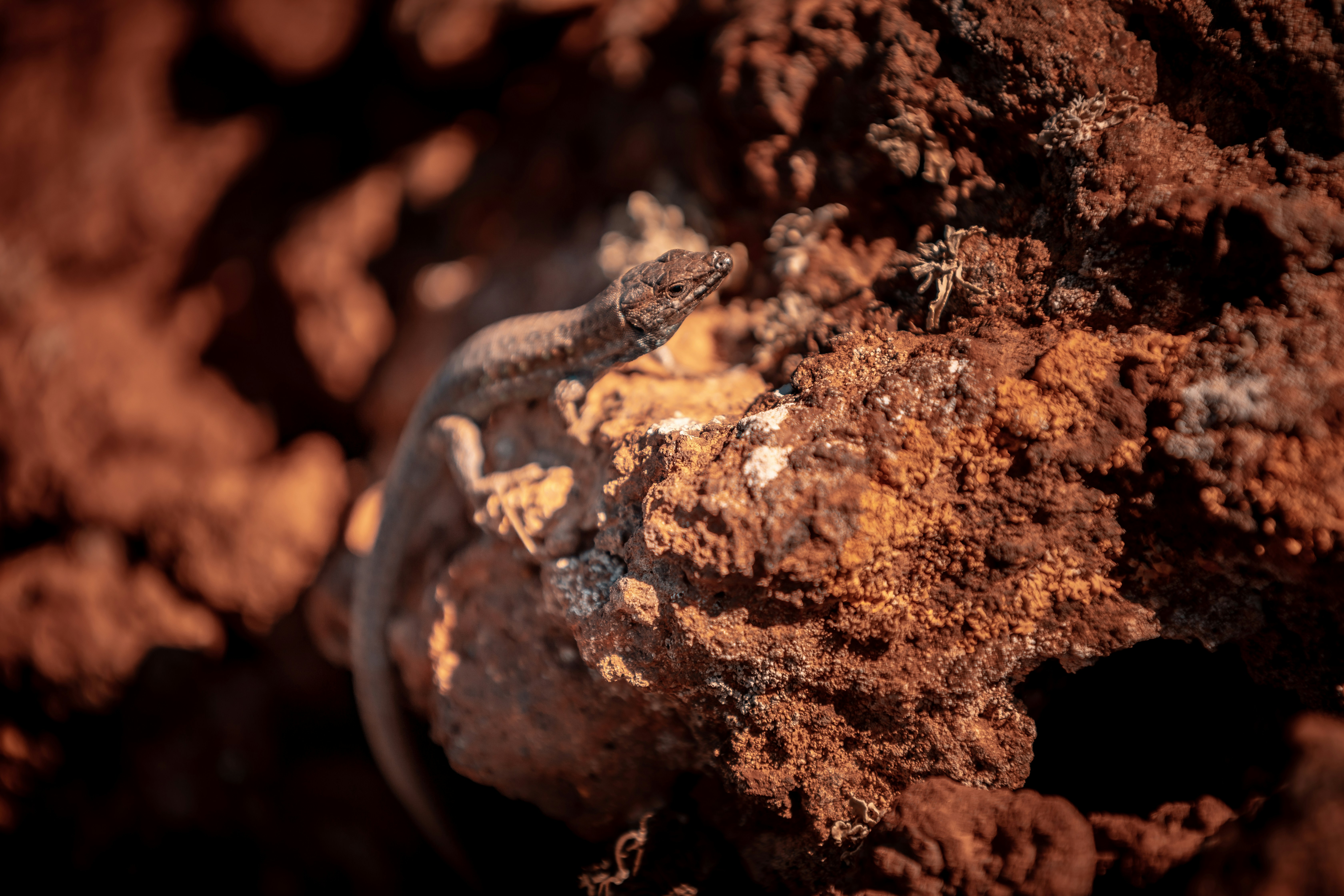 Photo by janoschphotos